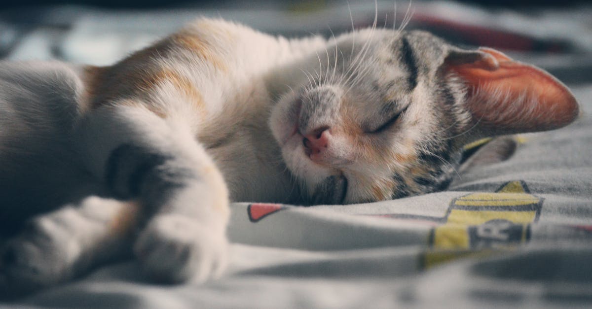 découvrez l'univers fascinant des rêves, un voyage inspirtant à travers l'inconscient où se mêlent mystères, significations et interprétations. explorez comment les rêves influencent notre réalité et comment les comprendre peut enrichir notre vie quotidienne.