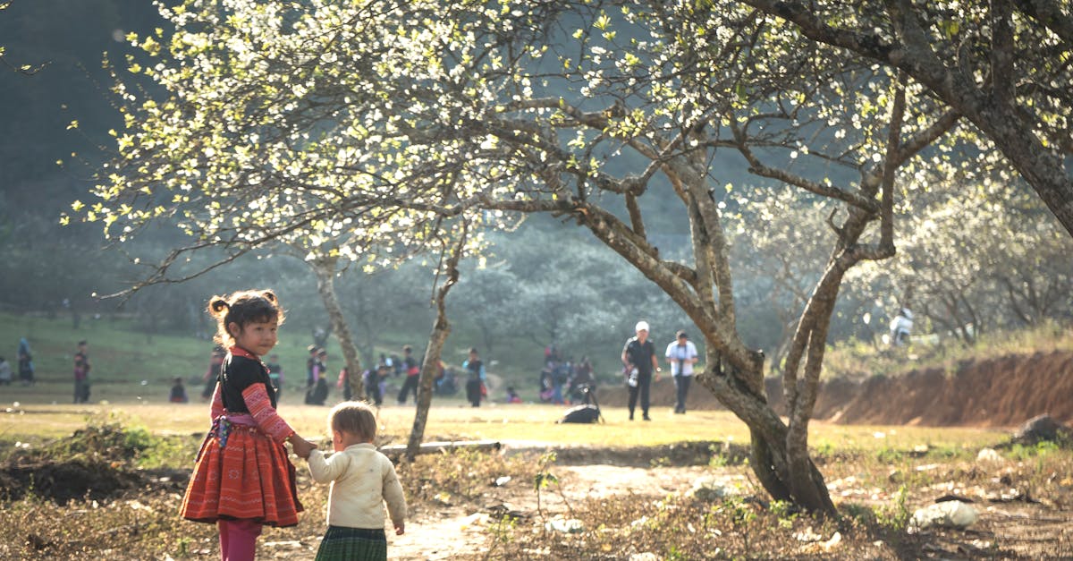 découvrez le concept de 'throws' dans la programmation, un terme essentiel pour comprendre la gestion des erreurs et des exceptions dans divers langages de code. apprenez comment utiliser efficacement les instructions 'throws' pour améliorer la robustesse de vos applications.