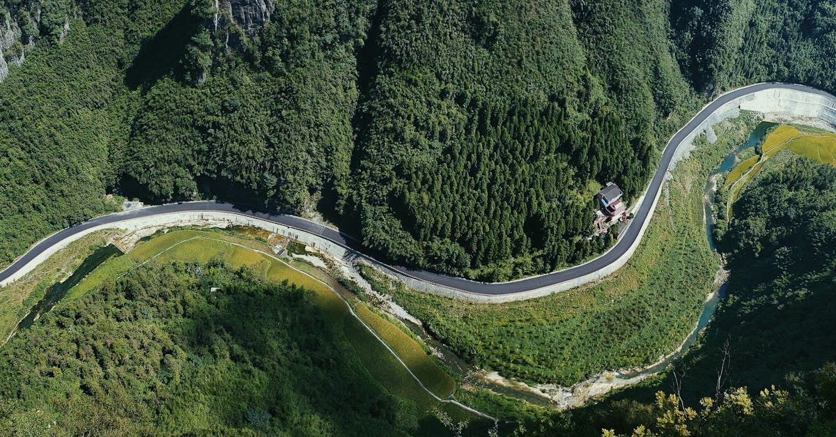 découvrez twity, la plateforme innovante pour partager vos messages, échanger avec votre communauté et rester informé des dernières tendances en toute simplicité.